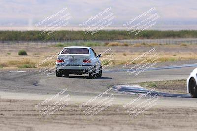 media/Oct-04-2025-OnGrid (Sat) [[44bd565ffa]]/Green Group/Grapevine/